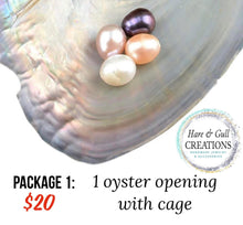 Load image into Gallery viewer, Pearl Party - Open an Oyster!