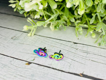 Load image into Gallery viewer, Music 🎶 to My Ears! - Rainbow Earrings
