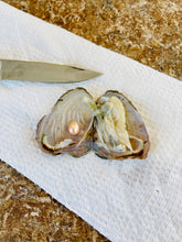 Load image into Gallery viewer, Pearl Party - Open an Oyster!
