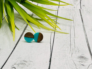Color Pop Wood & Resin Earrings - 10mm