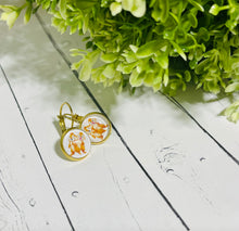 Load image into Gallery viewer, ‘I’m Chip, I’m Dale’ leverback Earrings
